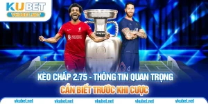 Kèo Chấp 2.75 - Thông Tin Quan Trọng Cần Biết Trước Khi Cược