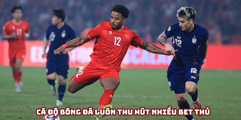Cá độ bóng đá luôn là sân chơi thu hút nhiều bet thủ