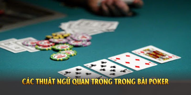 Các thuật ngữ quan trọng trong bài Poker bạn cần nắm