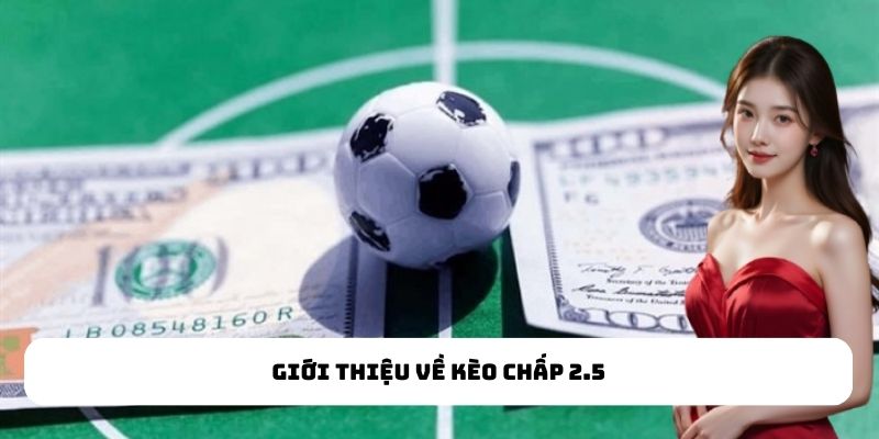 Giới thiệu về kèo chấp 2.5